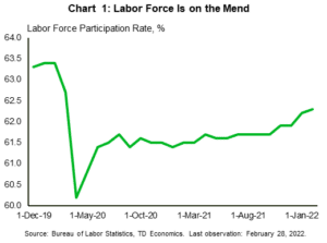 Financial News: Chart 1 Labor Force is on the Mend